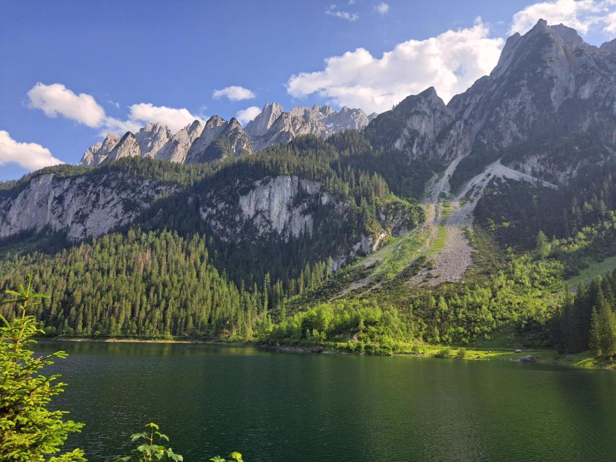 Gasthof Waldwirt Russbach am Pass Gschütt Esterno foto