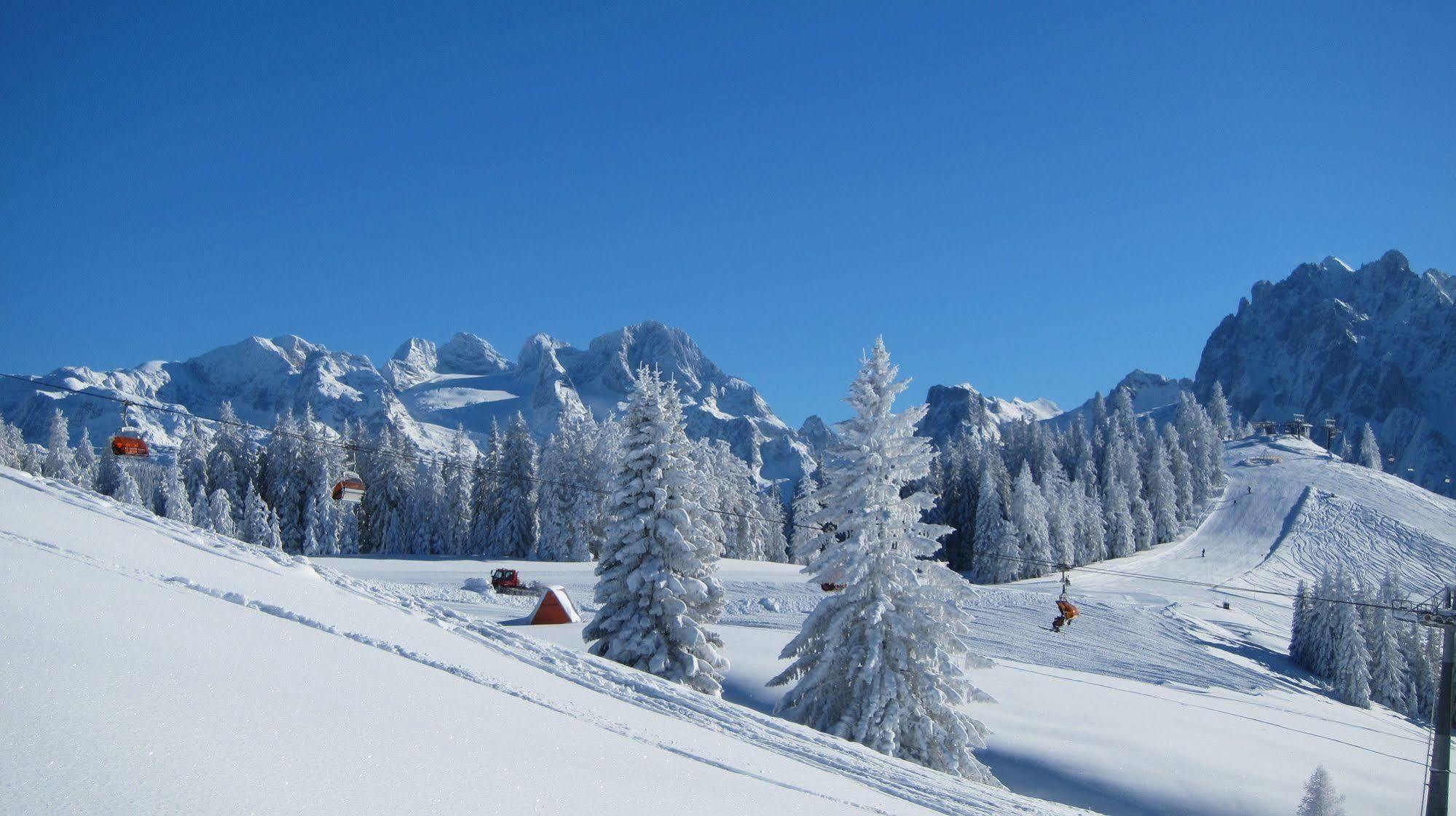 Gasthof Waldwirt Russbach am Pass Gschütt Esterno foto
